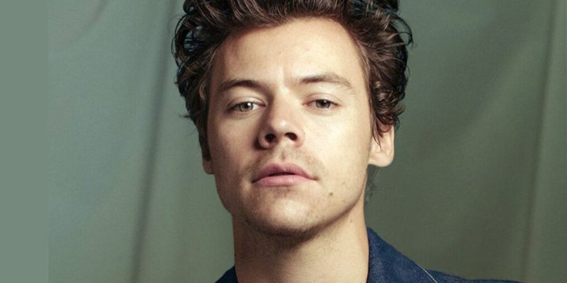 harry styles eternals
